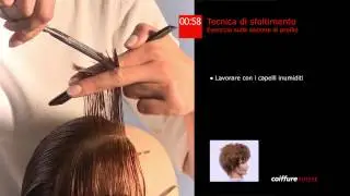 30. Tecnica di sfoltimento sulla sezione del profilo