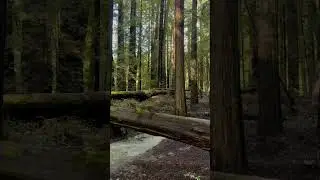 Cello Solo 4. Relax with Jazz Cello.jazz cello relaxing music. playlistTop 10 Jazz Cello Songs
