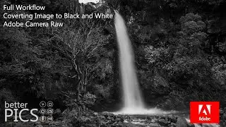 Tutorial - Converting Images to Black & White in ACR - Full Workflow #AdobeCameraRaw #BlackandWhite