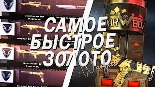 РЕШИЛА ПОКРУТИТЬ ДОНАТ В WARFACE И ВЫБИЛА ЗОЛОТО