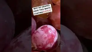 Why do grapes have this white coating?