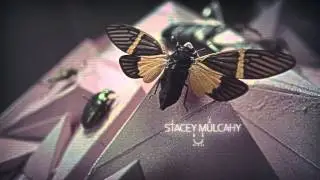 FITC TORONTO