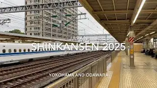 Japan Shinkansen Yokohama to Odawara 2025 Bullet Trains High Speed Rail