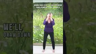 Governing and Conception Vessels Exercises #yin #yang #yinyang #mudra #affirmations #tcm #energy
