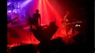 The Nadis Warriors - Trees Dallas - Telophase