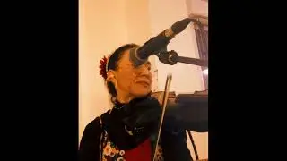 Concert solo Fadiviolon