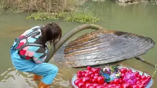 😲🔥 Beneath the Surface: The Girl Who Tamed a River Clam and Unleashed a Pearl Typhoon!