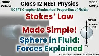 What is Stokes Law ? 2 Minute Explanation