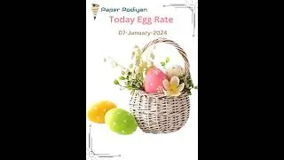 Today Egg Rate |07-01-2024|necc egg price #egg #necc #food #namakkal @paperpodiyan