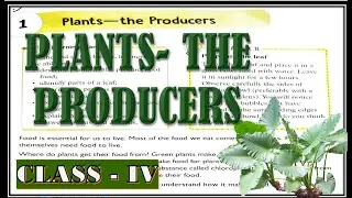 Plants   the producers   CLASS 4