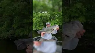 Big for illinois #fishing #f#bassfishing