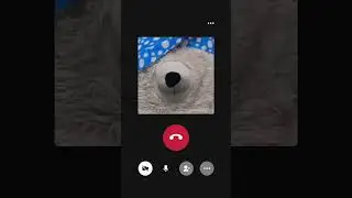 calling my mom that he reached home #soundeffects #call #memes #callingapp