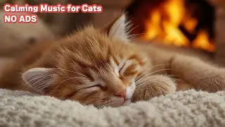 Make Cats Sleep Music 🐈 12 Hours No Ads - Cat Music Sleep and Calm All Night / vol.35