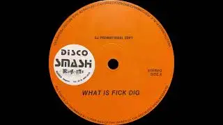 Friends Of Alex &ndash; What Is Fick Dig.
