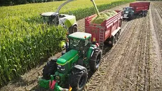 Maisernte 2024! JohnDeere 7810 & Fendt Traktoren! Häckseln extrem, unter  nassen Bedingungen! 1/2