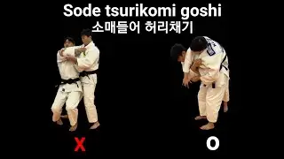 소매들어 허리채기 기본 공식 Sode tsurikomi goshi Tutorial