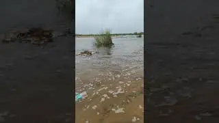 Palar River 2021 | Flood