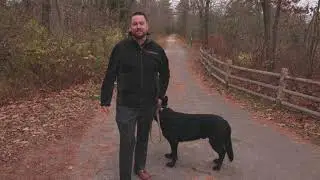 The Michael Thomas Real Estate Show Episode 5: Kennebunk Is A Dog Friendly Community