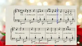Fr&ouml;hliche Weihnacht &uuml;berall / Merry Christmas Everywhere / Счастливого Рождества везде (accordion)