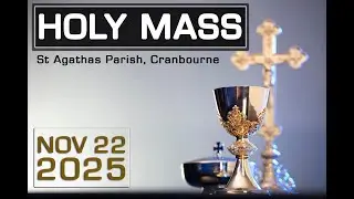 Holy Mass - 22/11/2025 - Saturday of the thirty-third week in Ordinary time - Saint Cecilia