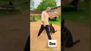 London Se Aaya Mera Dost takla Achcha hai Sushil hi Sundar hai||#funny #shorts #driving #video