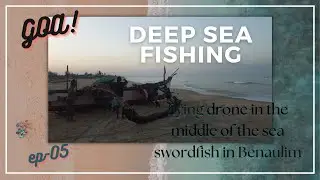 EP-05|Deep sea fishing in Goa|Huge fish caught on the Benaulim beach late at night| swordfish of Goa