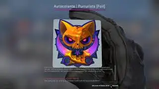 New CSGO Update Capsule Unboxing (Runtime and Purrurists)