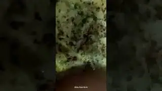 #satisfying#cheeseomelette#deliciousfood#love#beatthehunger. #music #bollywoodsongs