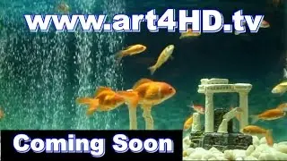 Coming Soon Goldfish Tank Bubbles 01 - Art4HD In Production | art411soon&trade;