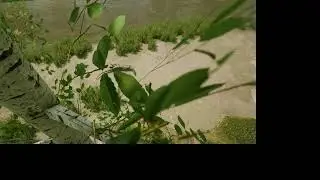 hazzos finding a home Path Of Titans realsim