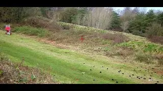 Clays Away Colerne 28th December 2023 Browning B725 Shotkam Clay pigeon shooting.