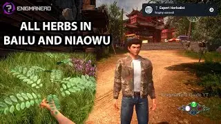 Shenmue 3 - All herbs in bailu and Niaowu - Expert Herbalist Trophy / Achievement Guide