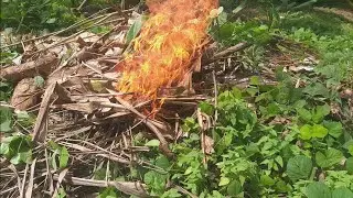 Cleaning a Rural Garden | Traditional Farm Work & Simple Village Life