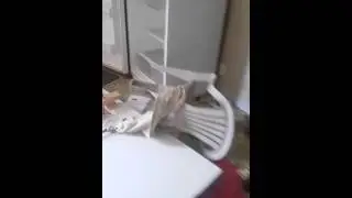 Foreclosure Junk Removal
