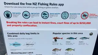 Правила рыбной ловли 🎣 / Fishing rules