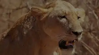 World Nomads Travel Insurance &ndash; Travel Photo and Film Scholarship 2024 | BellaBen Adventures