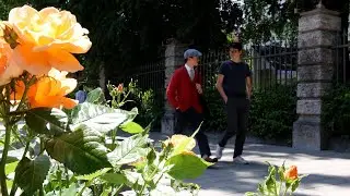 Einsteins 2023 - Sch&ouml;ngeist