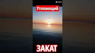 утопающий закат #shortsnature #весна #природа #закат #nature #утопающий_закат