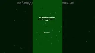 #цитаты