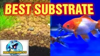 What is THE BEST Aquarium Substrate? YOU Choose
