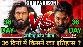 Dhurandhar Box Office Collection, Dhurandhar vs Pushpa 2 Comparison Day 36, Akshay Khanna, Ranveer S
