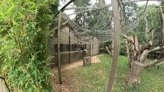 Cotswold Wildlife Park 2025