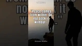 Stop Chasing Peace &ndash; Calm Lives Inside You