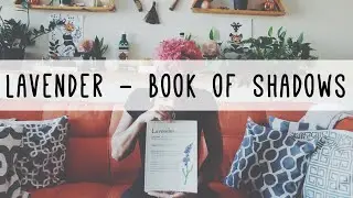 Lavender - Magical & Medical Uses | Book Of Shadows