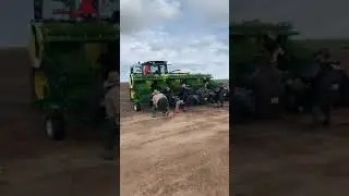 Hemp Plants Being Planted on Hemp Farm in Colorado  - IHF LLC