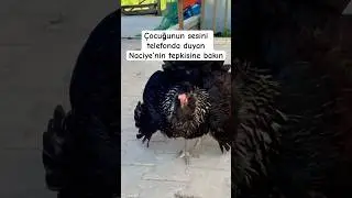 Check out Naciye's reaction to hearing her child's voice on the phone ￼ #chicken #villagevlog #ex...