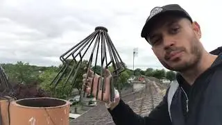 Bird Guard Installation in Dublin