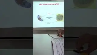 Hình thể ký sinh trùng sốt rét thể P.falciparum và P.Vivax