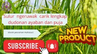 Sulur Ngeruwak Sawah lengkap dudonan ayaban dan Puja