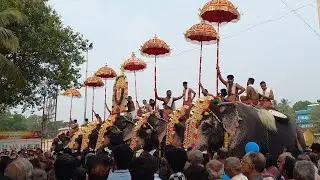 LIVE ▶️ KOLLANGODE AARATU MAHOLSAVAM theshavillaku #mother of nature sakthivel pollachi 